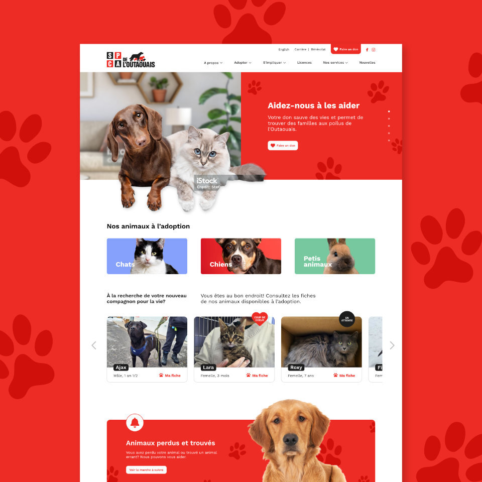 SPCA Outaouais créé par Coloc